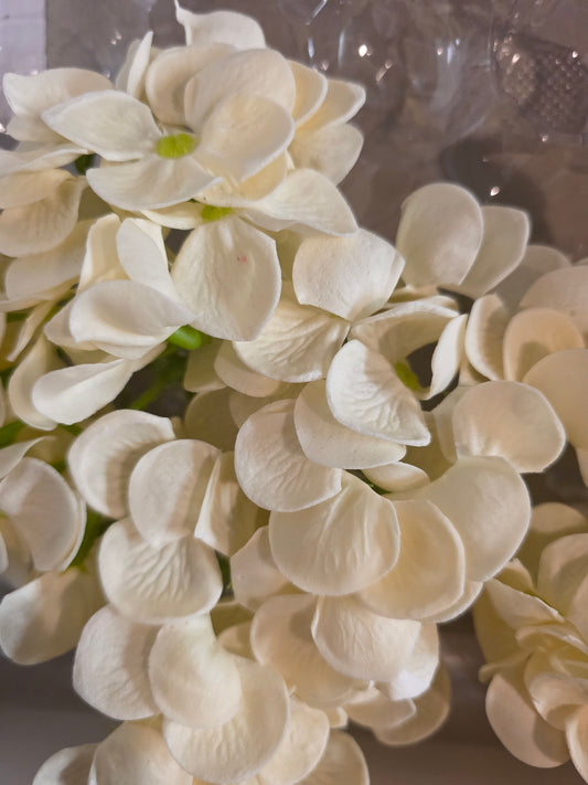 Seifenblume "Hortensien 152" Creme
