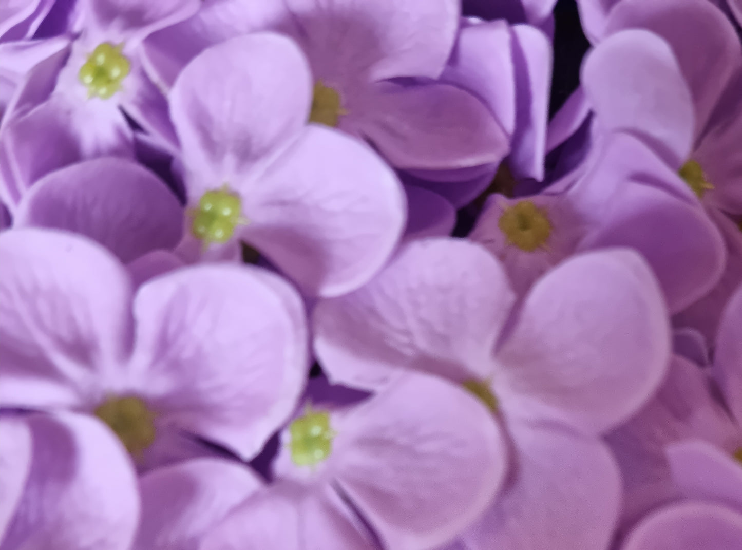 Seifenblume "Hortensien 162" Violett