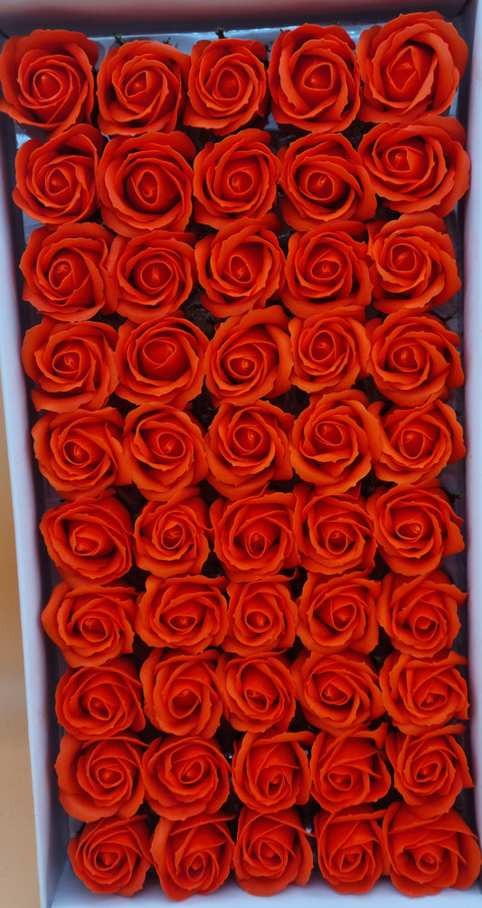 Seifenblume "Rose 17" Orange