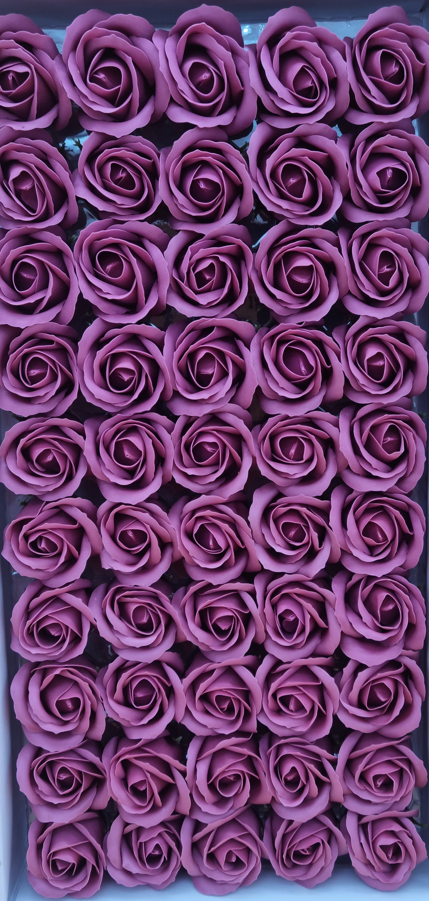 Seifenblume "Rose 28" Indische Rose