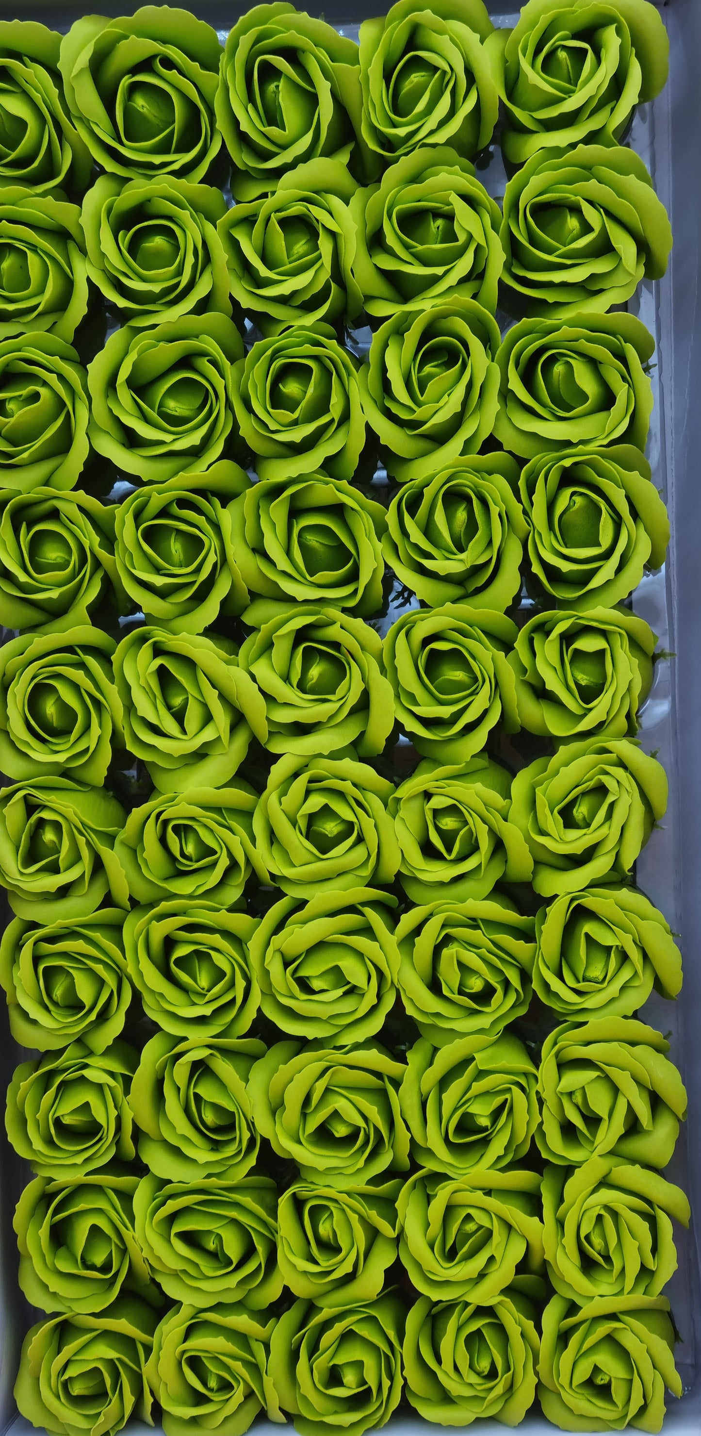 Seifenblume "Rose 30" Pistaziengrün