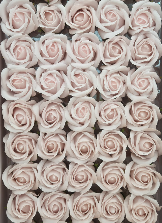 Seifenblume "Rose 34" Blassrosa