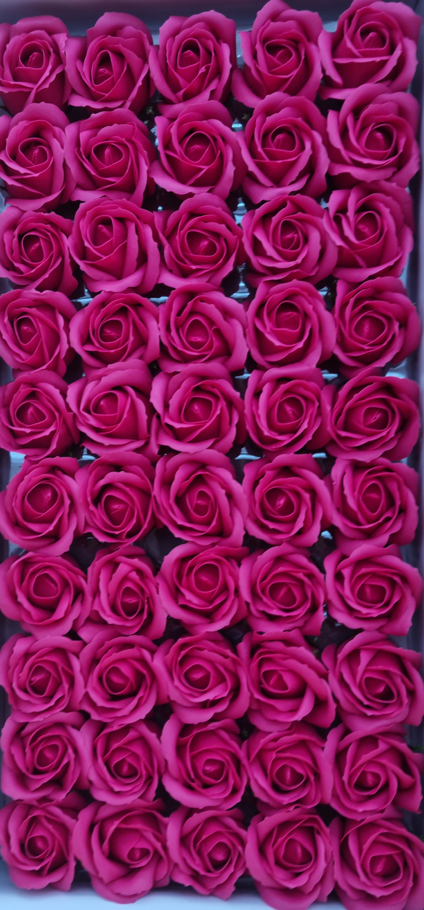 Seifenblume "Rose 36" Grenadine