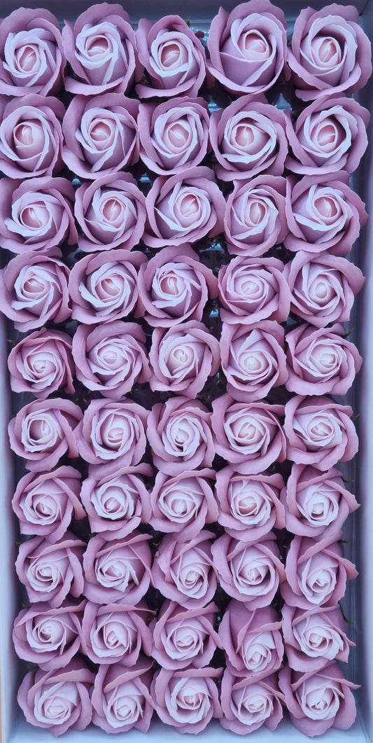 Seifenblume Multicolor "Rose 37" Tiefes + Helles Rosa