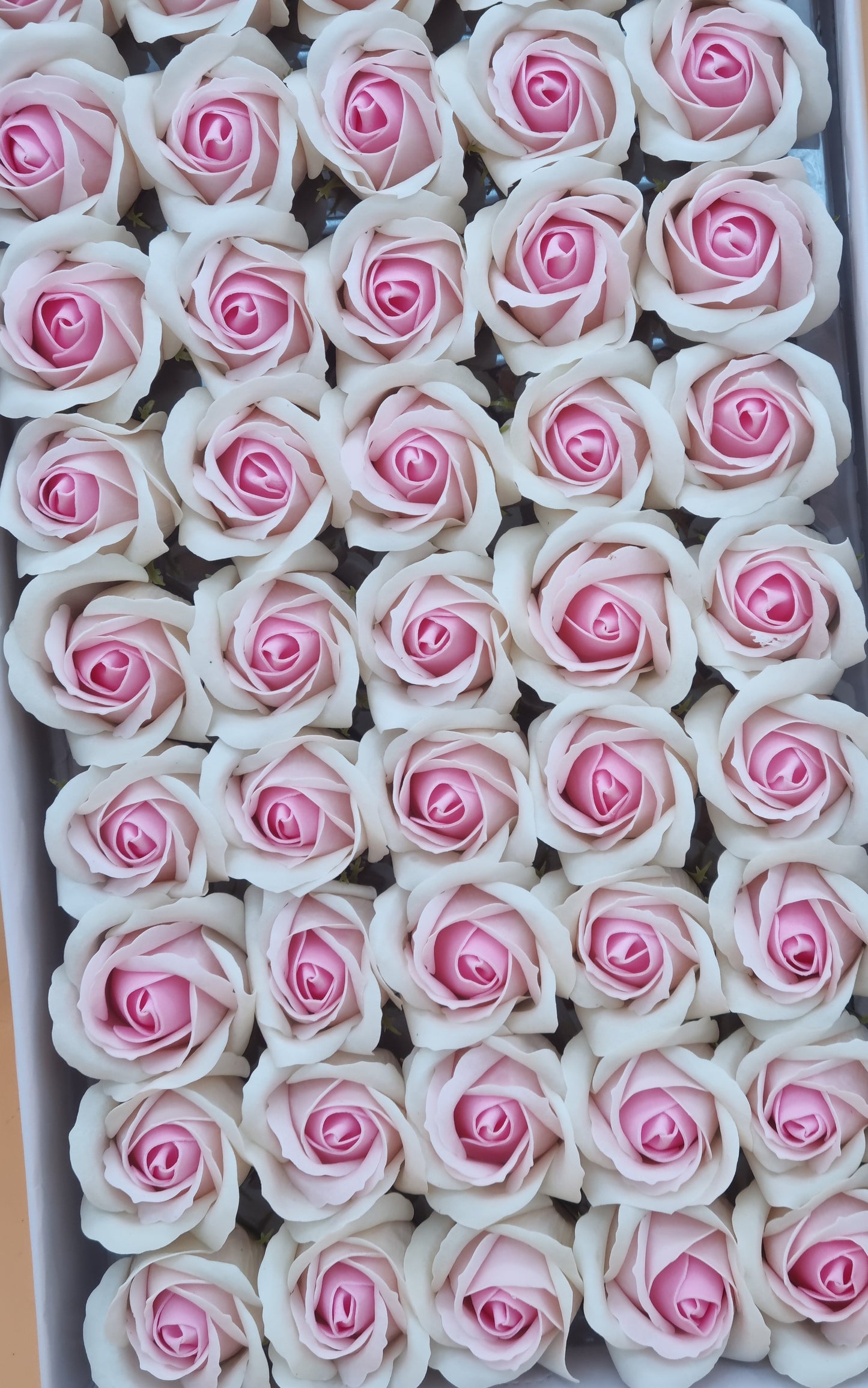 Seifenblume Multicolor "Rose 38" Weiß + Rosa