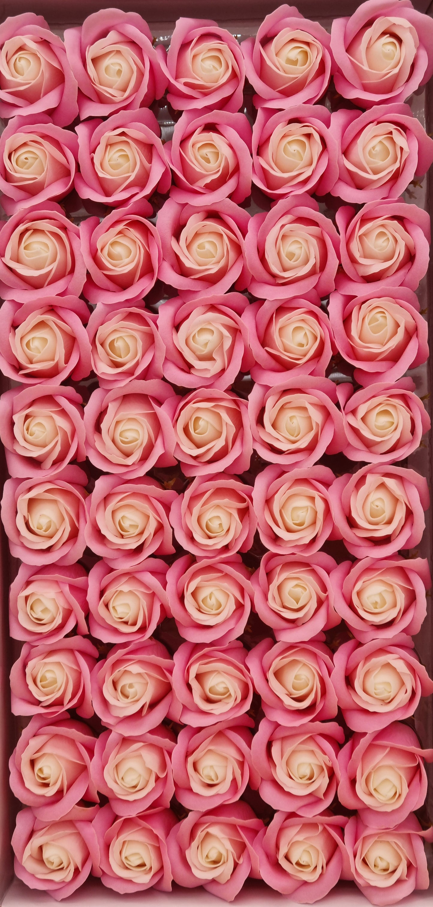 Seifenblume Multicolor "Rose 39" Rosa + Weiß