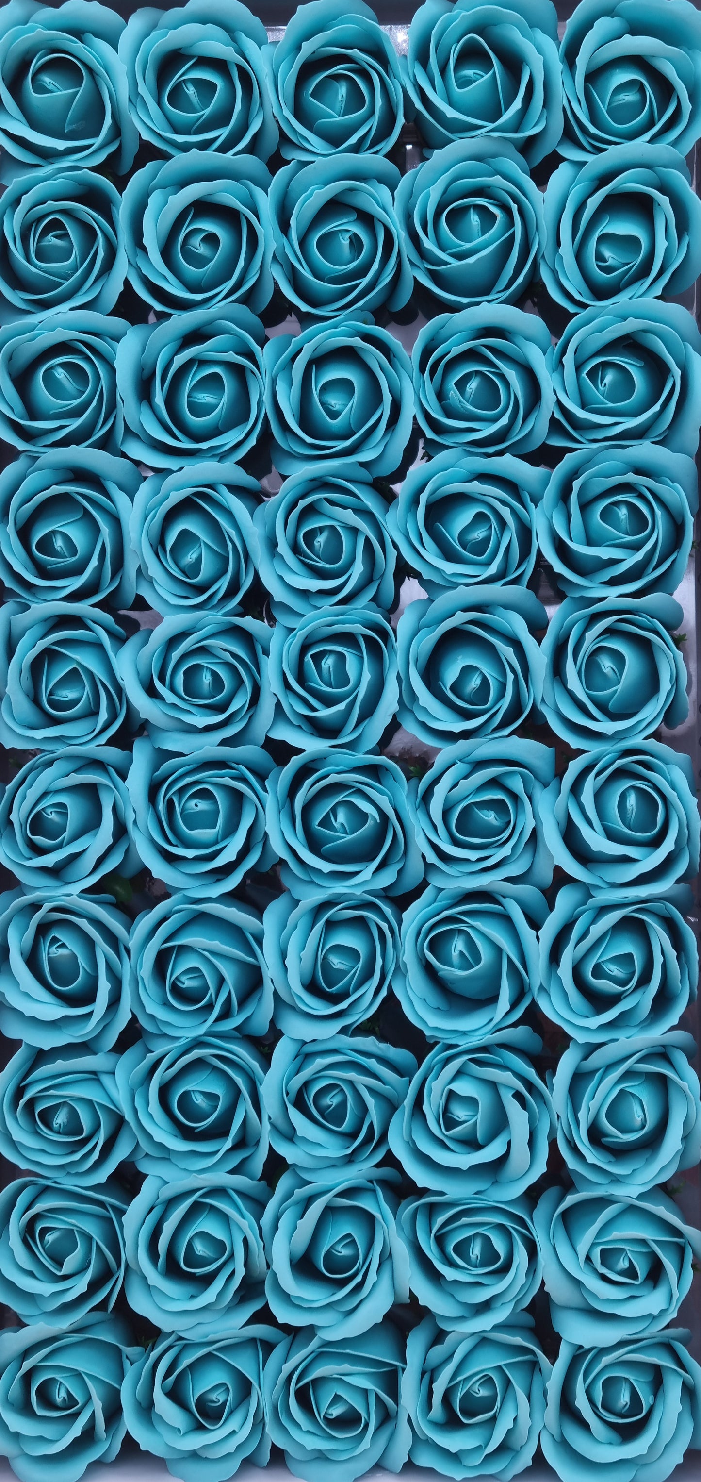 Seifenblume "Rose 43" Türkies hell