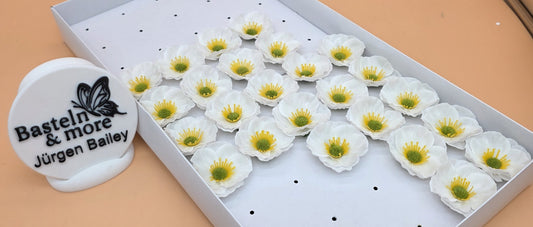 Seifenblume "Kamille Mini 455" Weiß