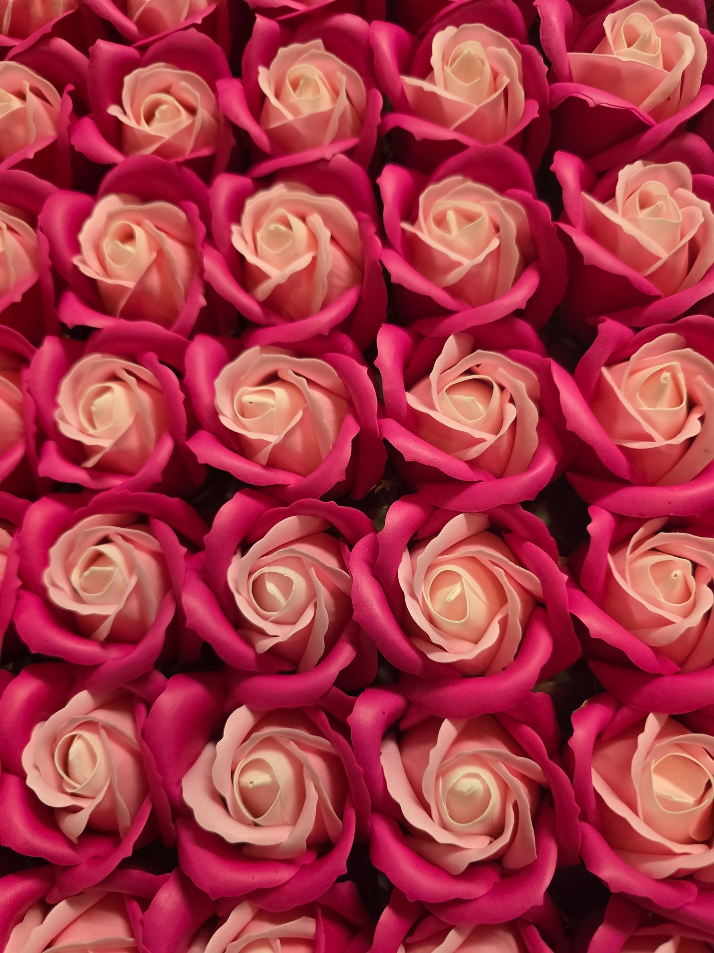 Seifenblume Multicolor "Rose 458" Creme/Rosa