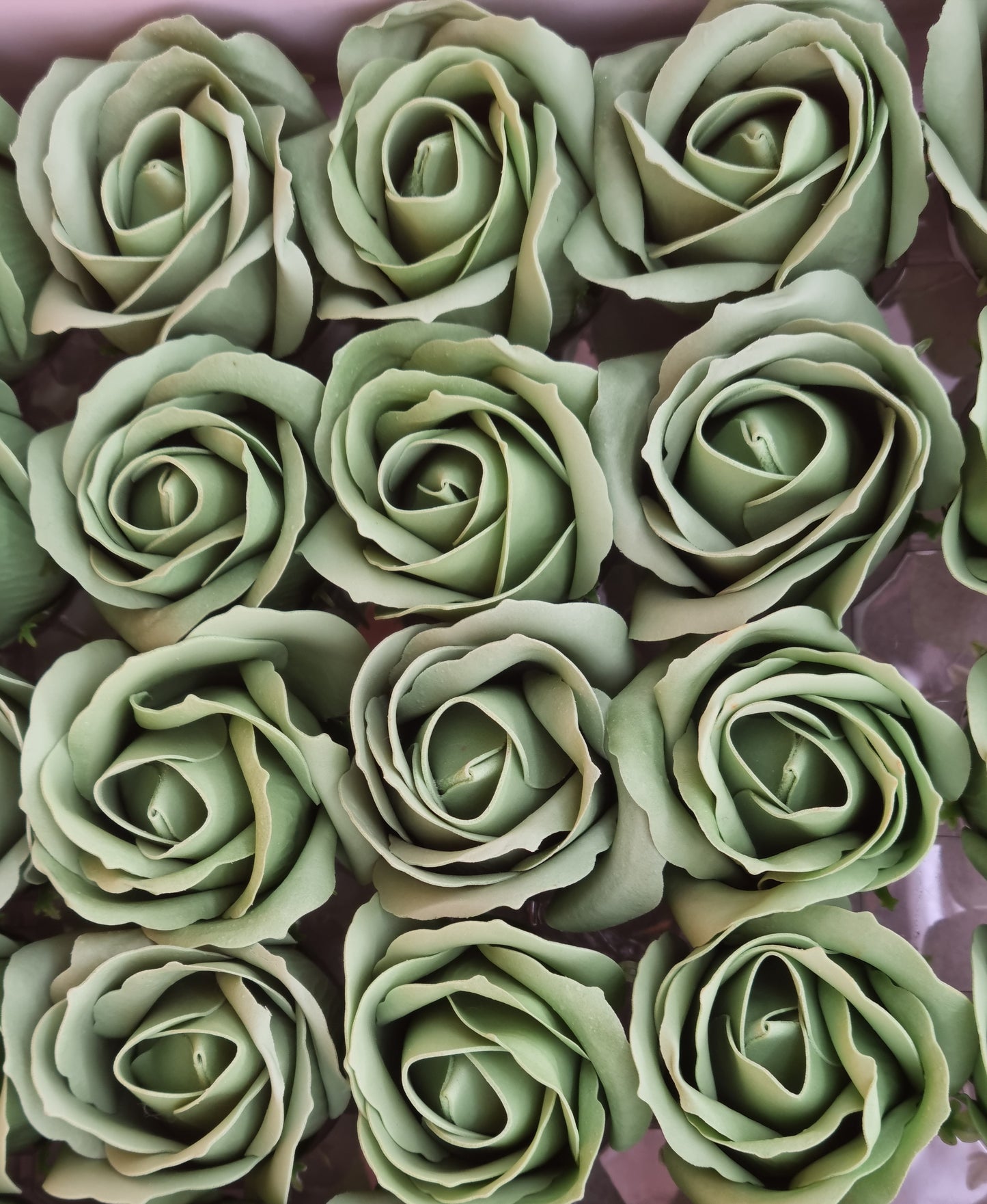 Seifenblume "Rose 45" Salbei