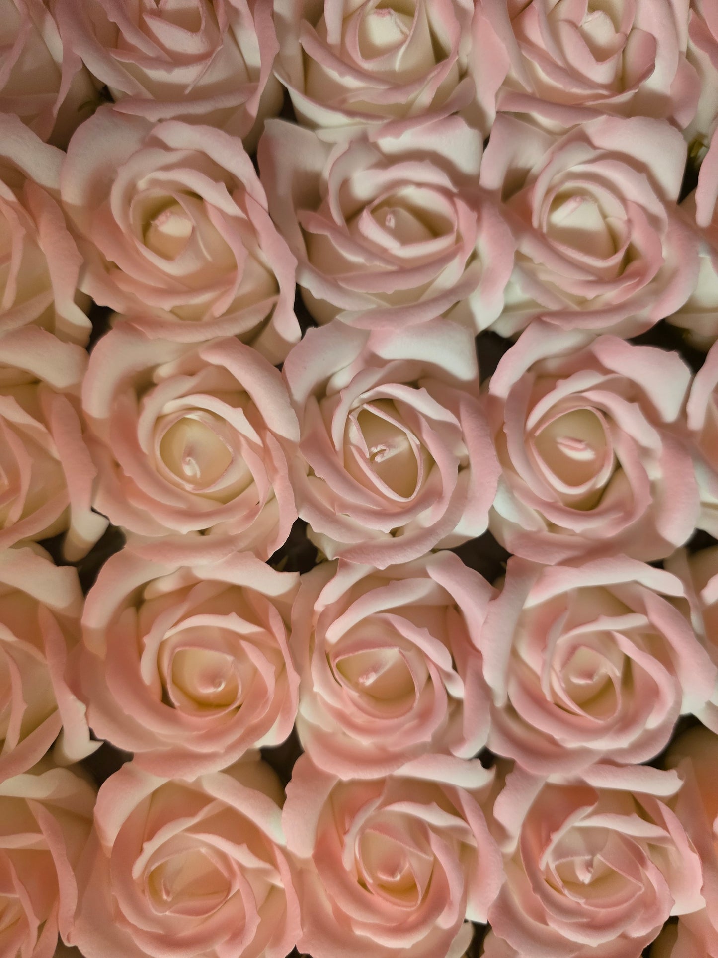 Seifenblume Multicolor Rand "Rose 460" Rosa mit Rand
