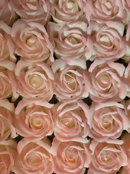 Seifenblume Multicolor Rand "Rose 460" Rosa mit Rand