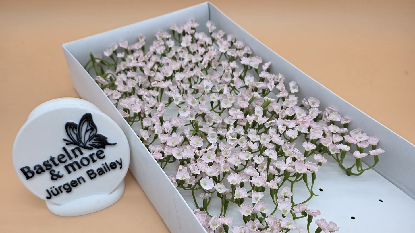 Seifenblume "Schleierkraut 462" Pink