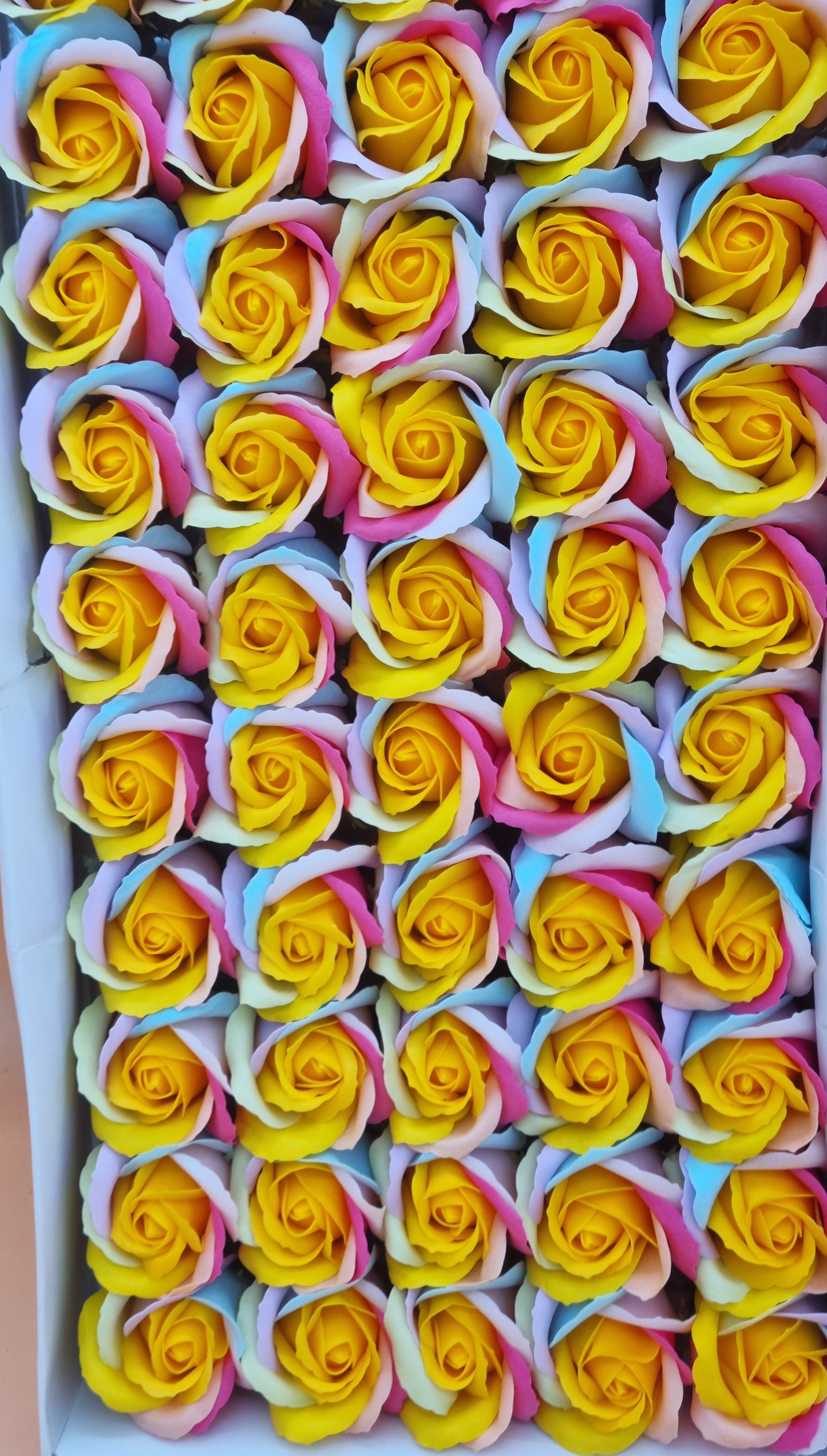 Seifenblume Multicolor "Rose 48" Regenbogen mit Gelb