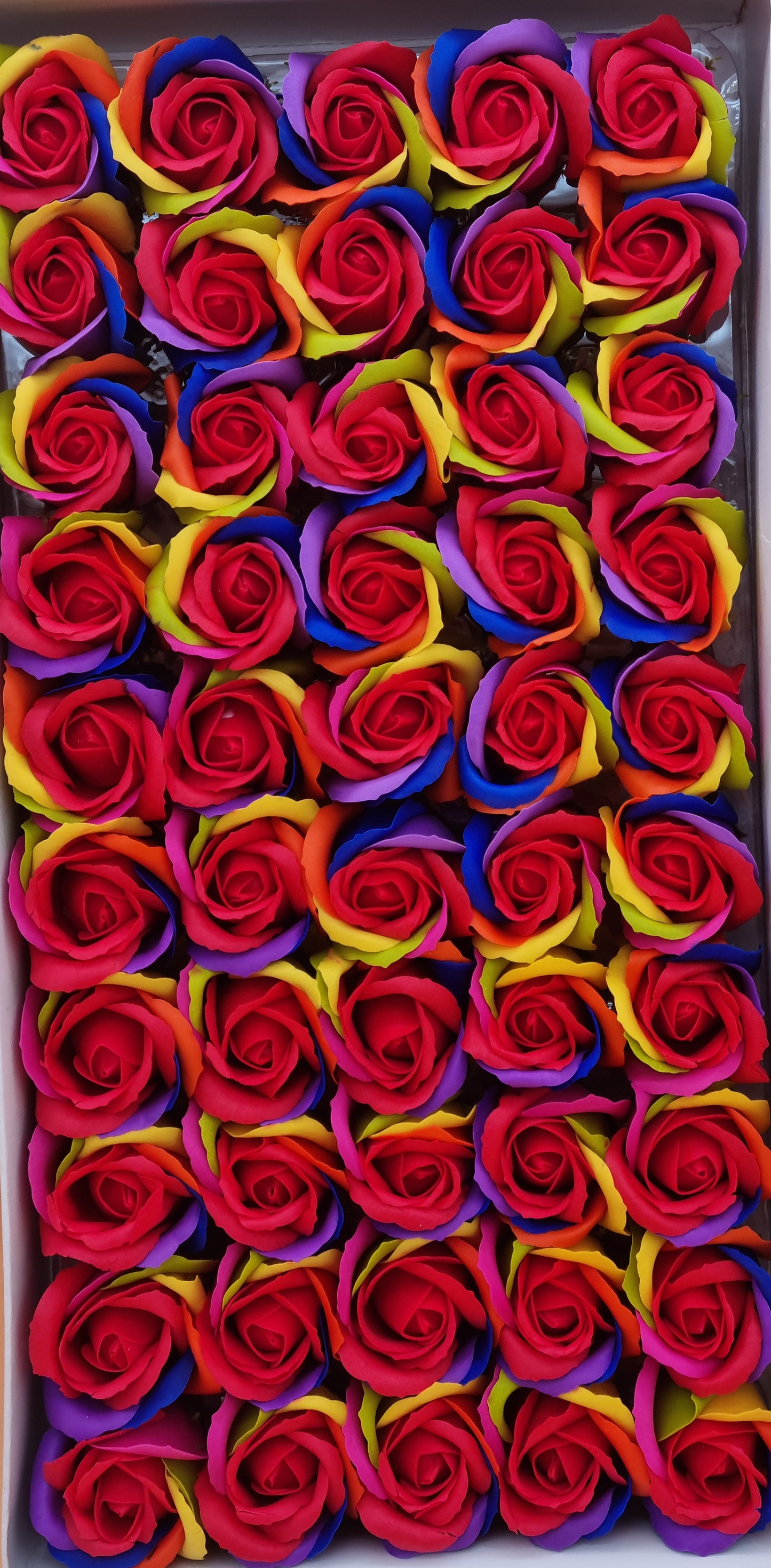 Seifenblume Multicolor "Rose 50" Regenbogen mit Rot