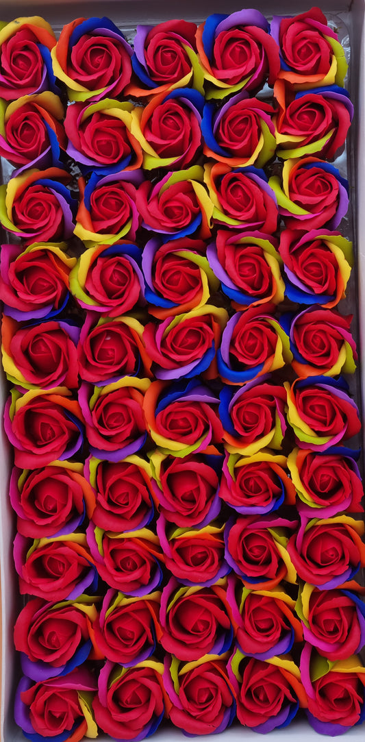 Seifenblume Multicolor "Rose 50" Regenbogen mit Rot