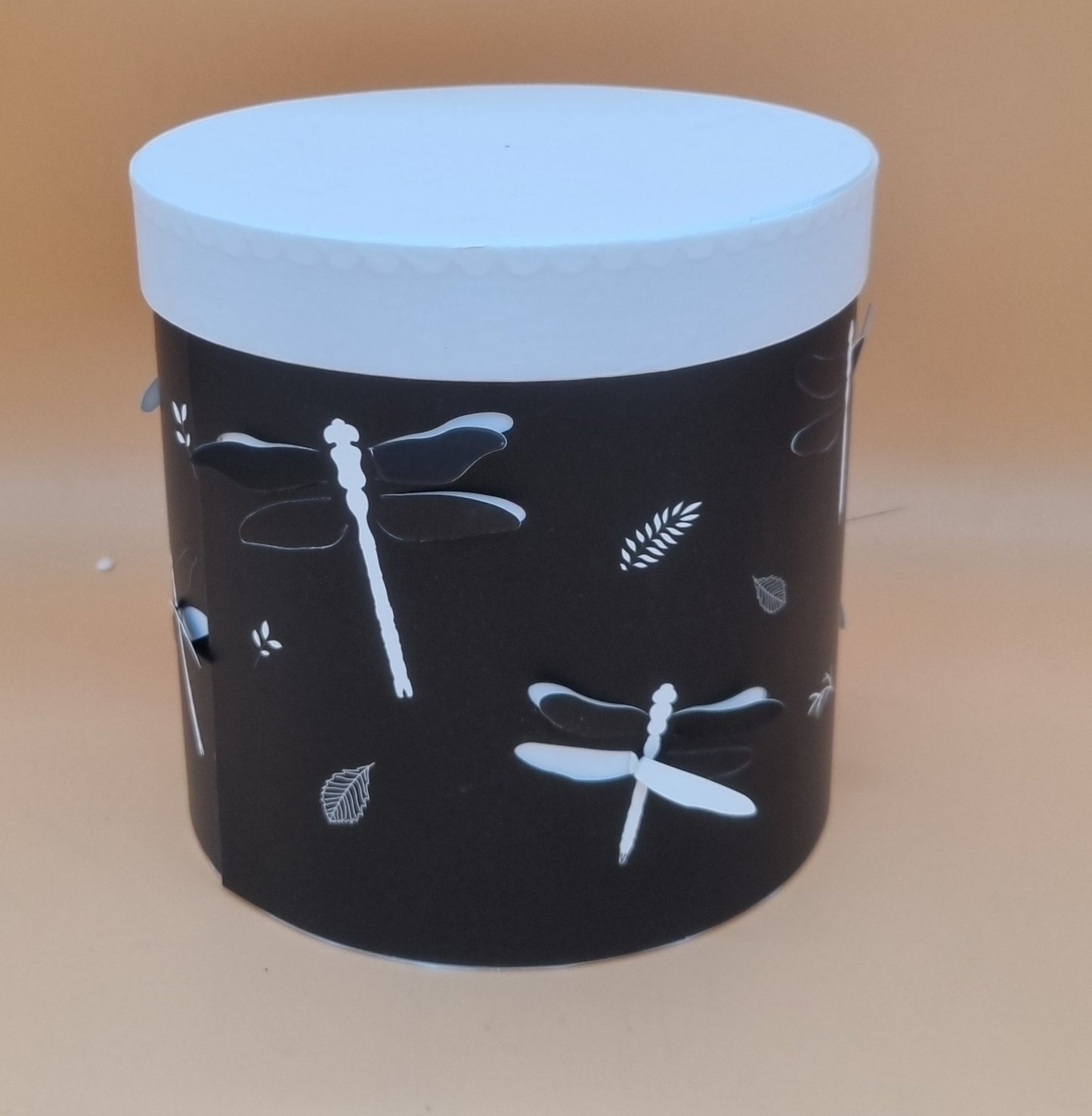 Box Libelle 17x17cm "Schwarz/Weiß 562"