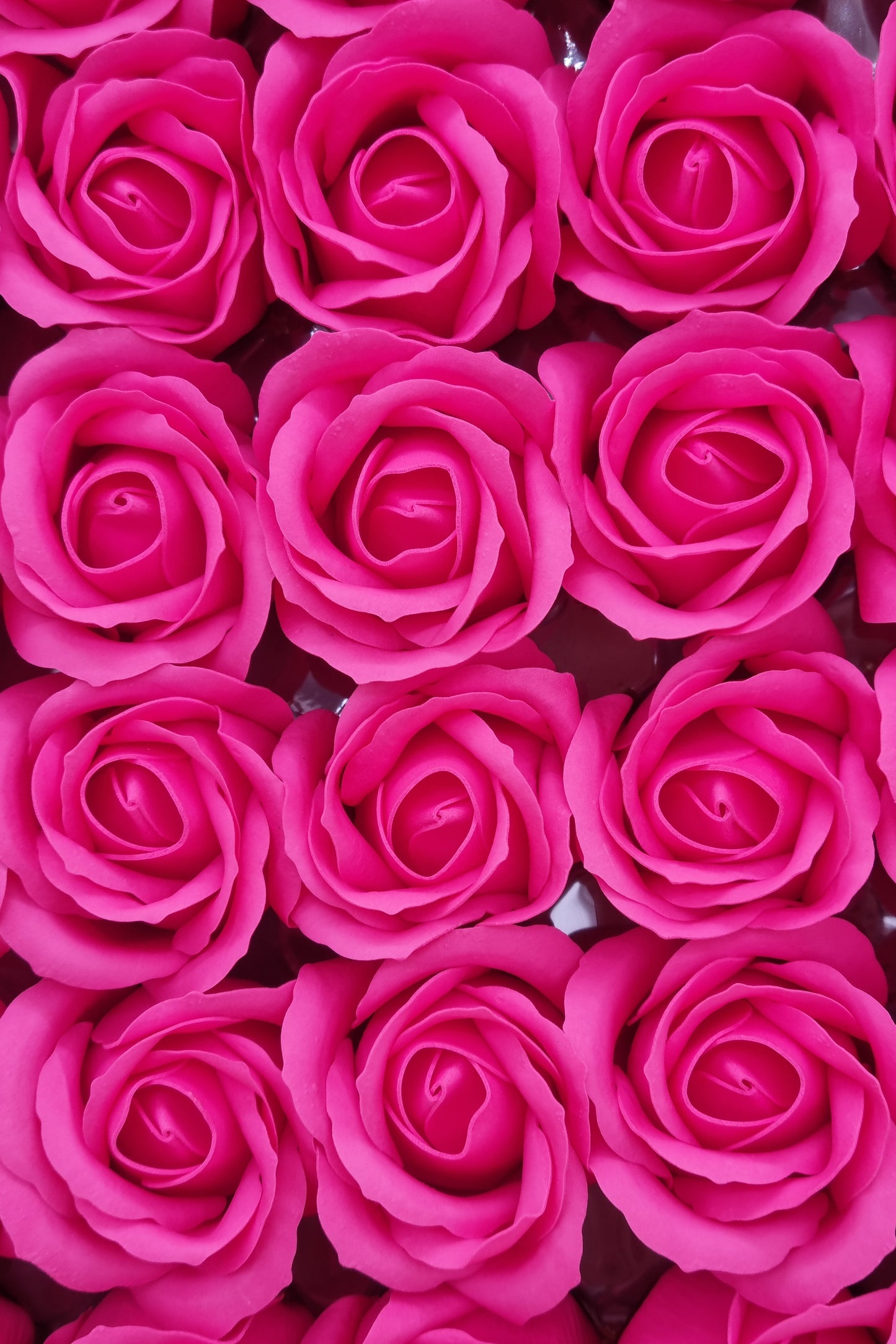 Seifenblume "Rose 61" Tiefrosa 