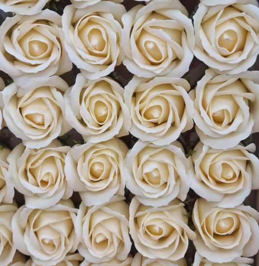 Seifenblume "Rose 63" Hellcreme