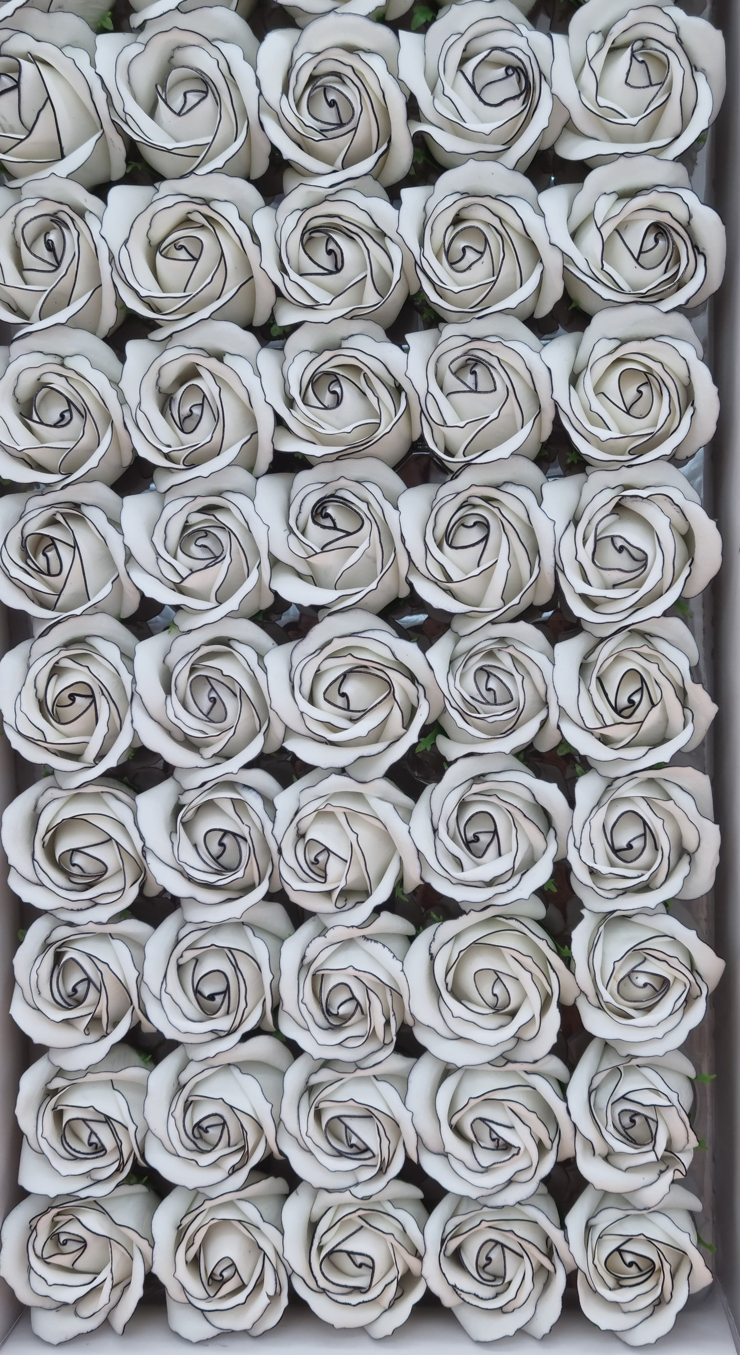 Seifenblume Multicolor Rand "Rose 64" Weiß mit schwarzem Rand