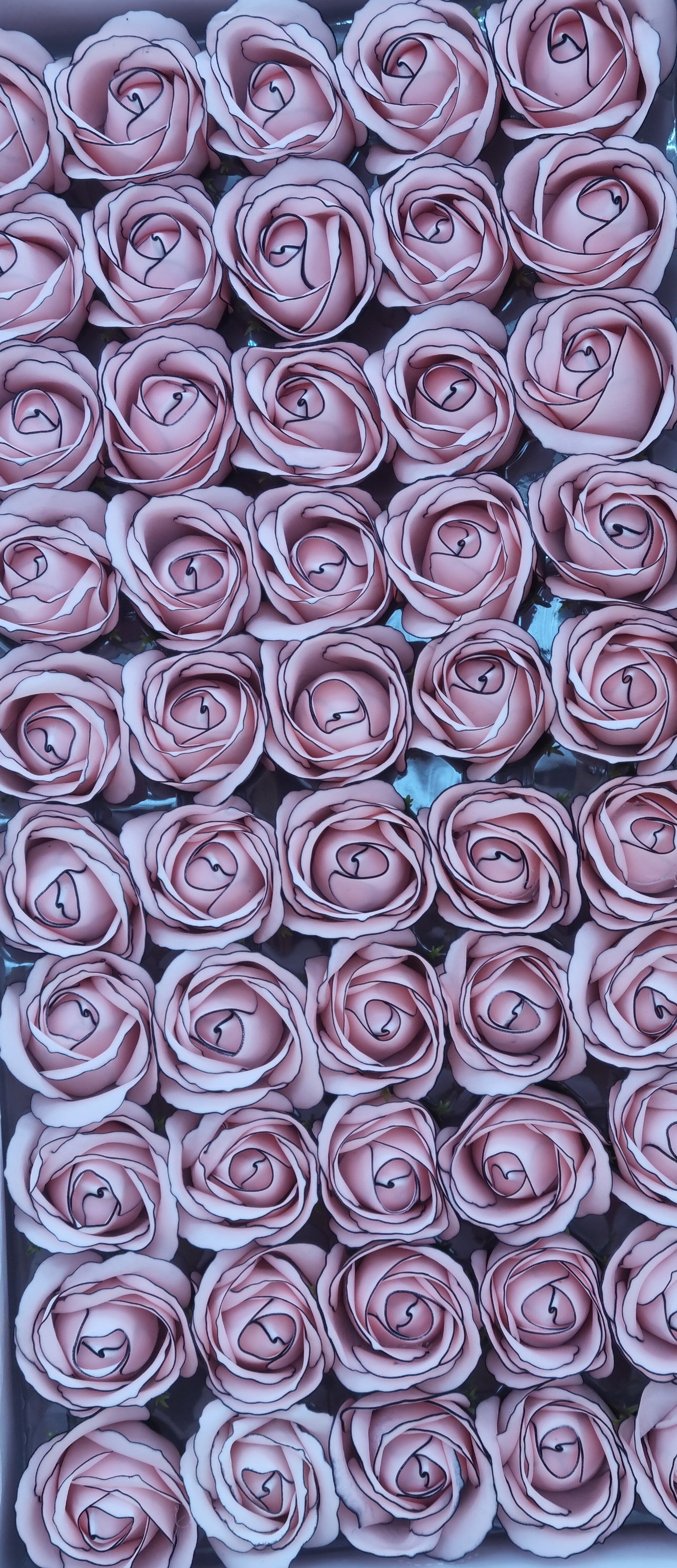 Seifenblume Multicolor Rand "Rose 65" Rosa mit schwarzem Rand