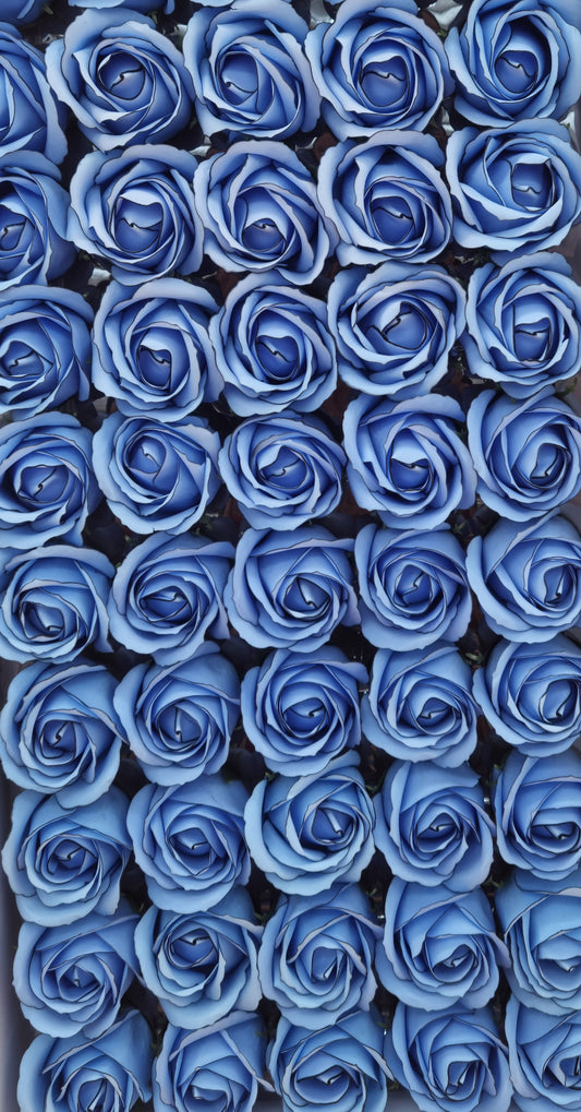 Seifenblume Multicolor Rand "Rose 66" Blau mit schwarzem Rand