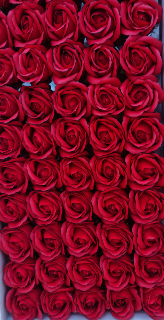 Seifenblume Multicolor Rand "Rose 67" Rot mit schwarzem Rand