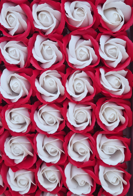 Seifenblume Multicolor "Rose 69" Rot + Weiß