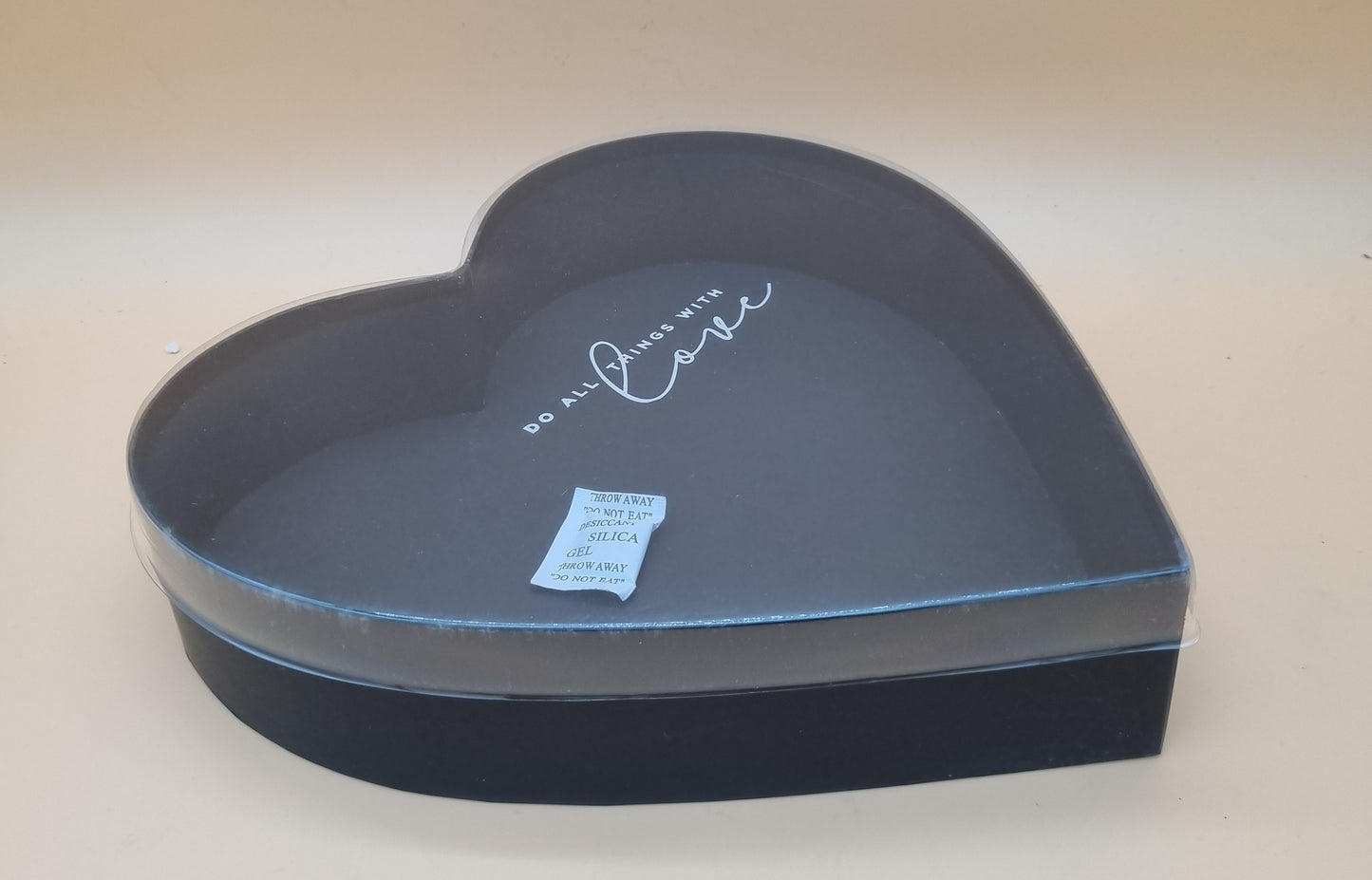 Box mit transparentem Deckel 26,5x5cm "Schwarz 700"