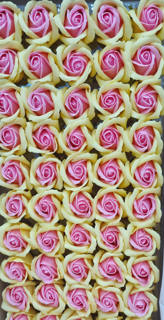 Seifenblume Multicolor "Rose 71" Gelb + Puderrosa