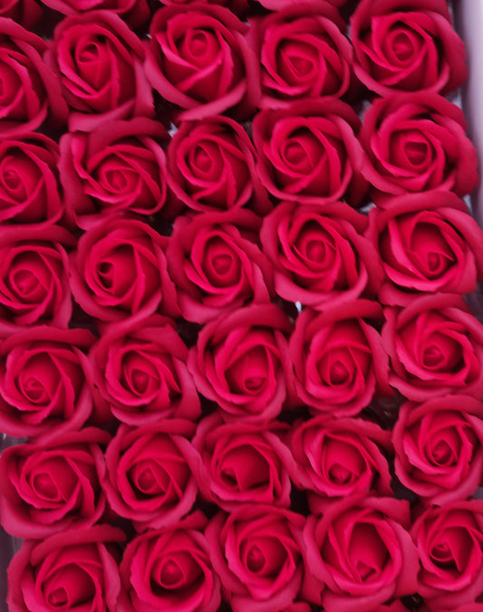 Seifenblume Multicolor "Rose 73" DUO Roter Granat