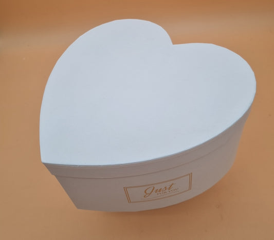 Box mit Deckel 20x10cm "Weiß 735"