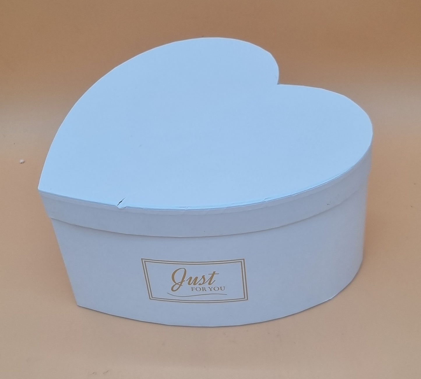 Box mit Deckel 22x11cm "Weiß 736"