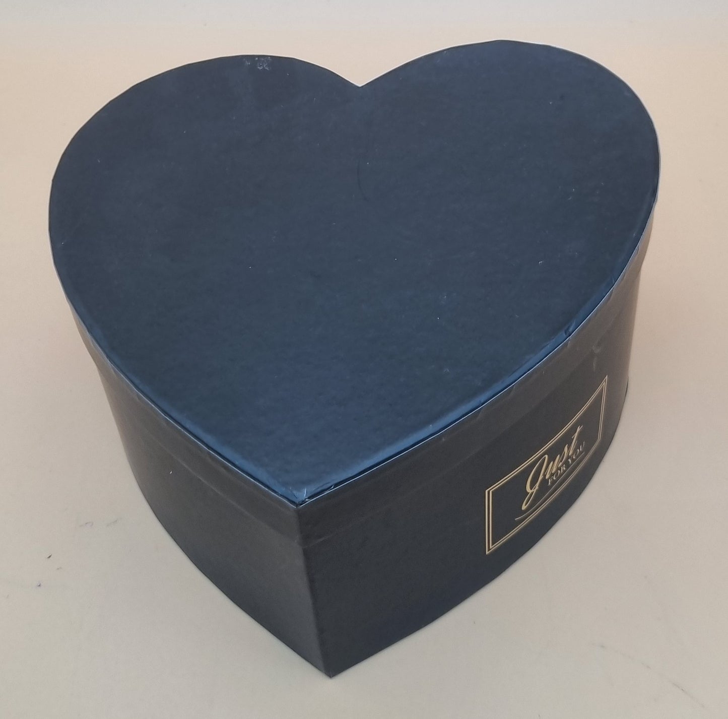 Box mit Deckel 20x11cm "Schwarz 737"