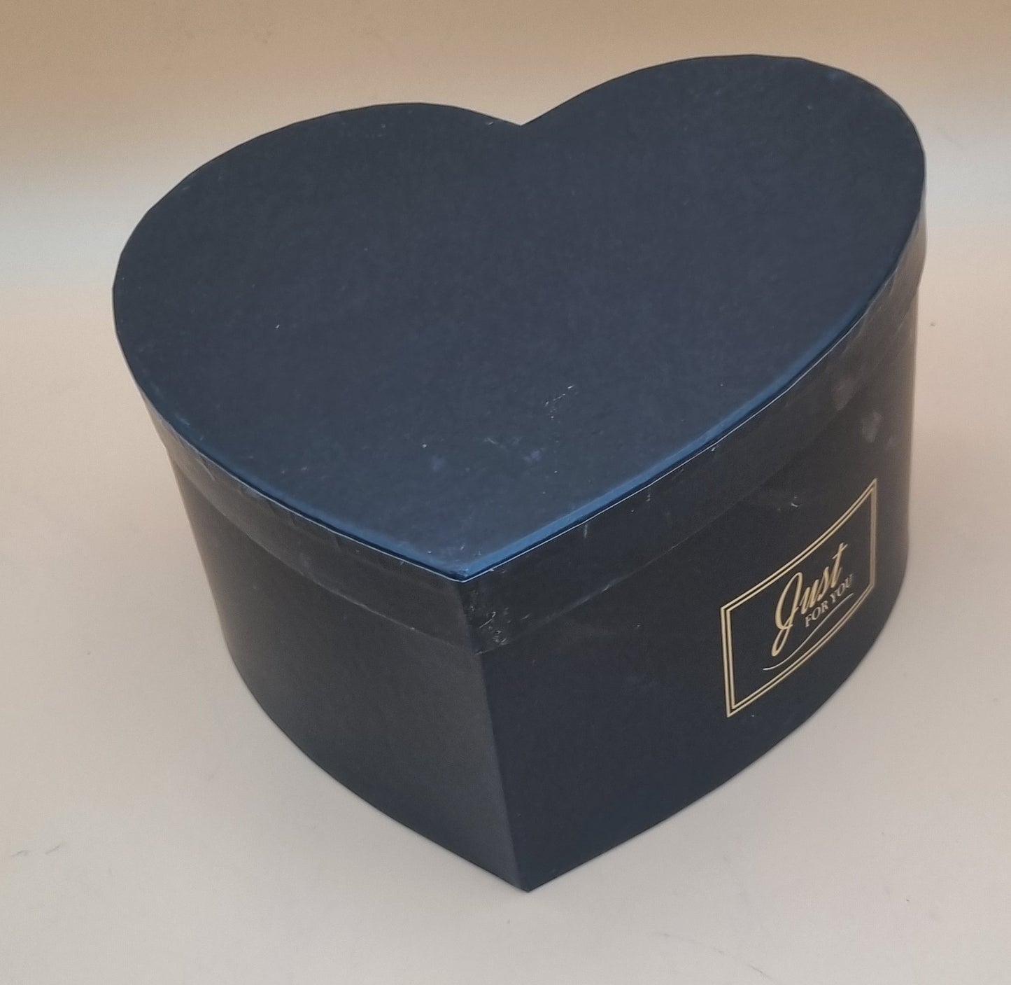 Box mit Deckel 22x12cm "Schwarz 738"