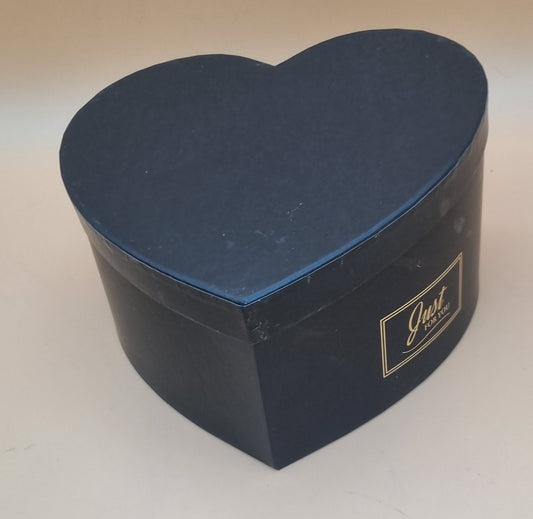 Box mit Deckel 22x12cm "Schwarz 738"