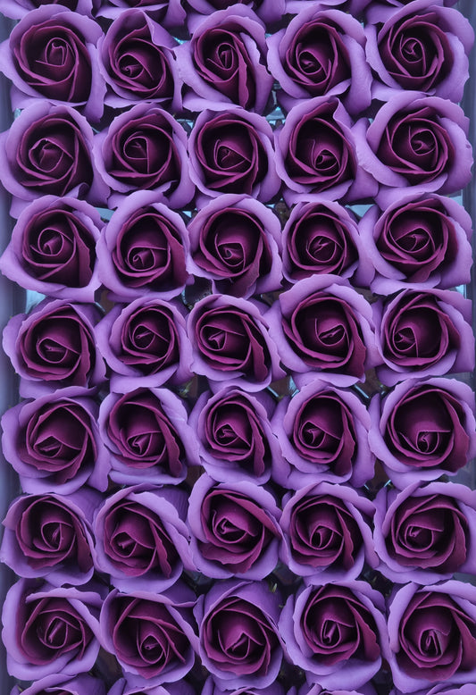 Seifenblume Multicolor "Rose 74" Violett + dunkel Lila