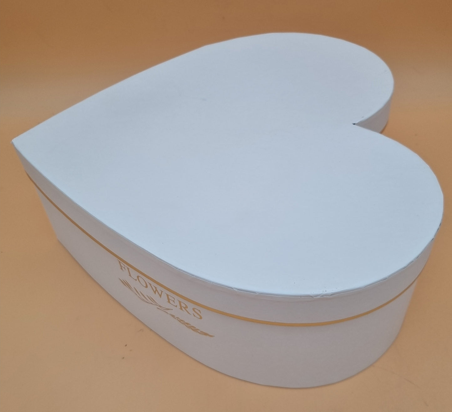 Box mit Deckel 28x10cm "Weiß 743"