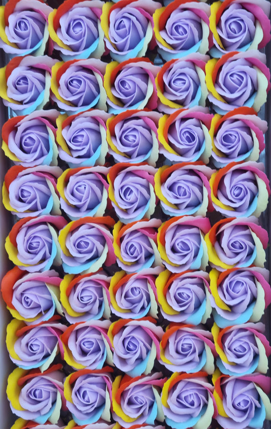 Seifenblume Multicolor "Rose 75" Regenbogen mit Lila