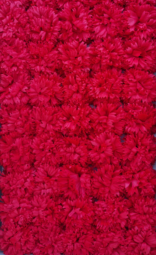 Seifenblume "Nelke 76" Rot