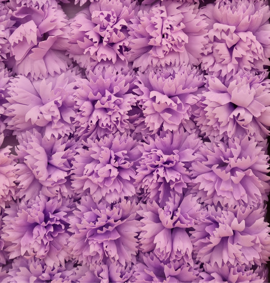 Seifenblume "Nelke 77" Violett