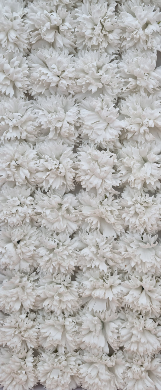 Seifenblume "Nelke 79" Weiß