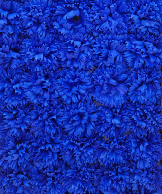 Seifenblume "Nelke 80" Blau