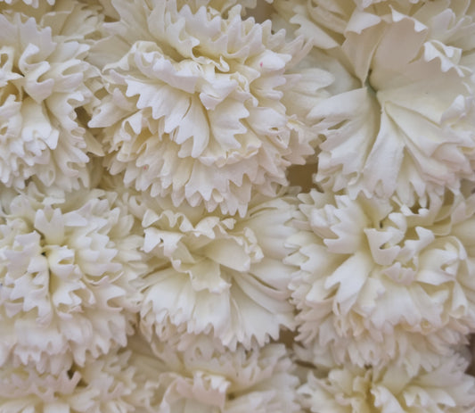 Seifenblume "Nelke 82" Creme