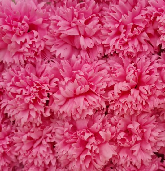 Seifenblume "Nelke 84" Rosa