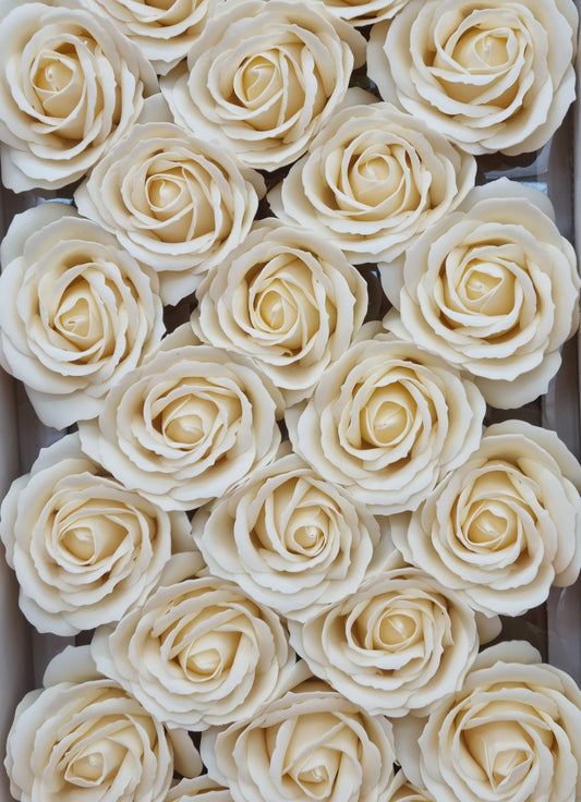 Seifenblume "Rose groß 85" Creme