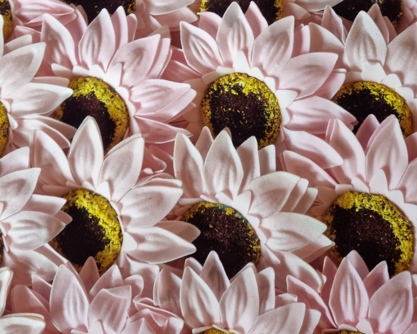 Seifenblume "Sonnenblume 95" Babyrosa