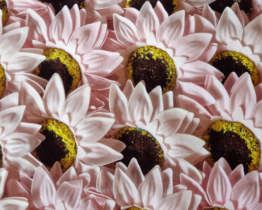 Seifenblume "Sonnenblume 95" Babyrosa