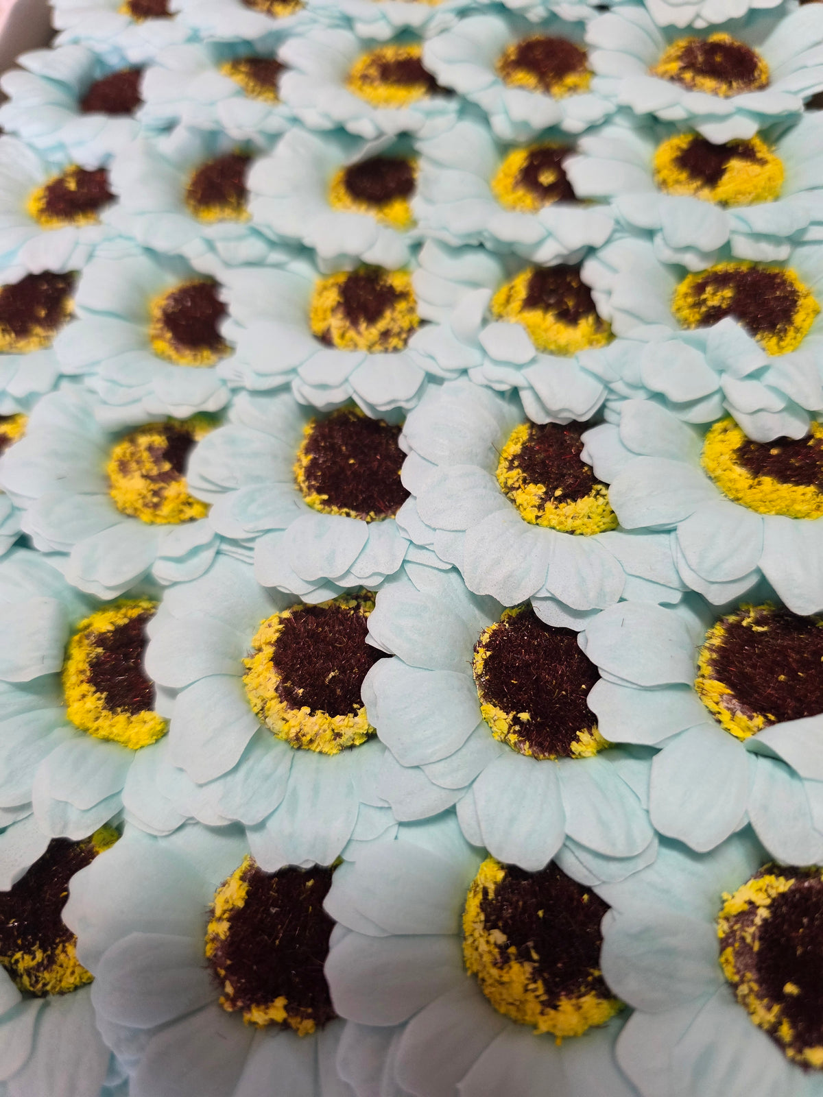 Seifenblume "Sonnenblume 98" Babyblau