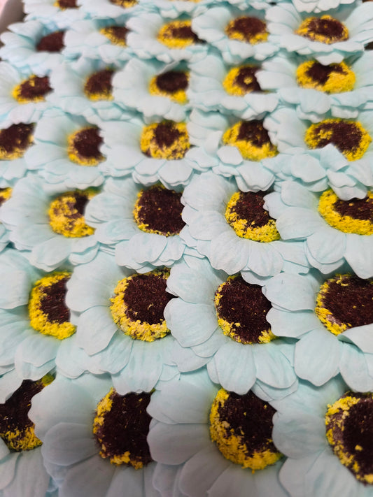 Seifenblume "Sonnenblume 98" Babyblau